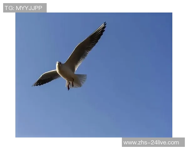 脑瘫足球：用爱与坚持书写不屈的运动精神与梦想之旅